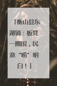 衡山县东湖镇：板凳一圈围，民意“唠”明白！